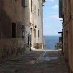 Yessenia Wyman Profile Picture