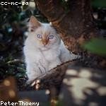 Emely Gutmann Profile Picture