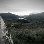 Mustafa Huels Profile Picture