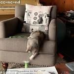 Arlene Bernhard Profile Picture