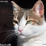 Carley Goldner Profile Picture