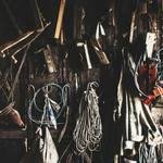 Nicholas King Profile Picture