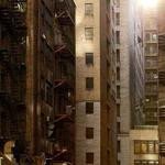 Webster Walsh Profile Picture