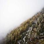 Chadd Lesch Profile Picture