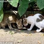 Mark Bergstrom Profile Picture