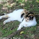 Tina Gleichner Profile Picture