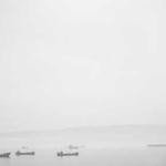 Felipe Eichmann Profile Picture