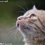 Philip Bernhard Profile Picture