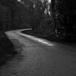 Luna Leffler Profile Picture