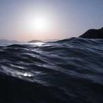 Olaf Erdman Profile Picture