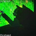 Israel Wisoky Profile Picture