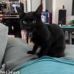 Chasity Ferry Profile Picture