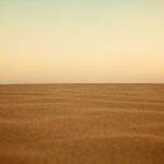 Danny Kassulke Profile Picture