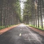 Bridgette Yost Profile Picture