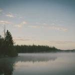 Juanita Hand Profile Picture