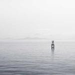 Otis Ernser Profile Picture