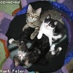 Hailee Schinner Profile Picture