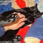 Reese Monahan Profile Picture