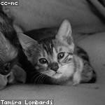 Jeffery Bailey Profile Picture