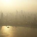 Gabriel Williamson Profile Picture