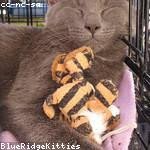 Lula Denesik Profile Picture