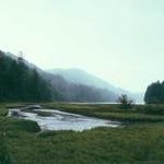 Keara Rolfson Profile Picture