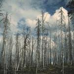 Yessenia Hudson Profile Picture